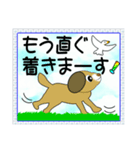 笑顔で癒やす笑い犬のメッセージスタンプ（個別スタンプ：24）