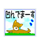 笑顔で癒やす笑い犬のメッセージスタンプ（個別スタンプ：30）