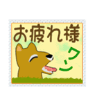 笑顔で癒やす笑い犬のメッセージスタンプ（個別スタンプ：35）
