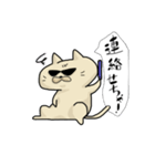 ”だめねこけいぴ～”の北九州ライフ♪（個別スタンプ：9）