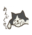 おちゃめ猫とイケメン猫（個別スタンプ：6）