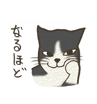 おちゃめ猫とイケメン猫（個別スタンプ：9）