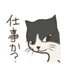 おちゃめ猫とイケメン猫（個別スタンプ：11）