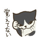 おちゃめ猫とイケメン猫（個別スタンプ：12）