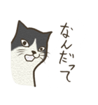 おちゃめ猫とイケメン猫（個別スタンプ：13）