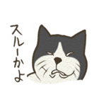 おちゃめ猫とイケメン猫（個別スタンプ：14）