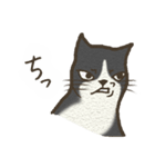 おちゃめ猫とイケメン猫（個別スタンプ：18）
