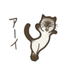 おちゃめ猫とイケメン猫（個別スタンプ：21）