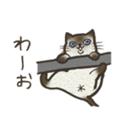 おちゃめ猫とイケメン猫（個別スタンプ：29）