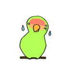 コザクラインコさん（個別スタンプ：30）