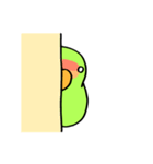 コザクラインコさん（個別スタンプ：37）