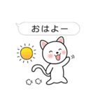 ふきだしねこの日常会話（個別スタンプ：1）