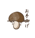 Yes,Mushroom.（個別スタンプ：1）