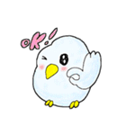 ゆるぽわ鳥（個別スタンプ：3）