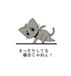 まろねこ（個別スタンプ：40）