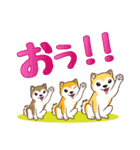 柴専2（柴犬専用）（個別スタンプ：7）