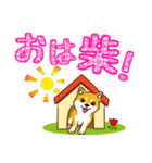 柴専2（柴犬専用）（個別スタンプ：14）