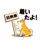 柴専2（柴犬専用）（個別スタンプ：17）