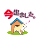 柴専2（柴犬専用）（個別スタンプ：19）