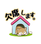 柴専2（柴犬専用）（個別スタンプ：26）