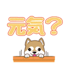 柴専2（柴犬専用）（個別スタンプ：35）