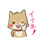 ゆるゆる柴犬（個別スタンプ：5）