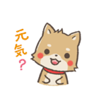 ゆるゆる柴犬（個別スタンプ：20）