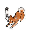 柴犬のふじ その2（個別スタンプ：3）