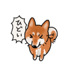 柴犬のふじ その2（個別スタンプ：9）