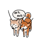 柴犬のふじ その2（個別スタンプ：14）