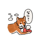 柴犬のふじ その2（個別スタンプ：16）