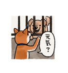 柴犬のふじ その2（個別スタンプ：19）