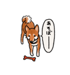 柴犬のふじ その2（個別スタンプ：22）