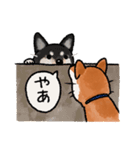 柴犬のふじ その2（個別スタンプ：24）