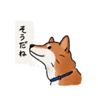 柴犬のふじ その2（個別スタンプ：31）