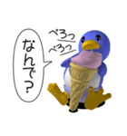 賢いペンギンさん（個別スタンプ：18）