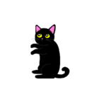Baloo Black cat part 2（個別スタンプ：17）