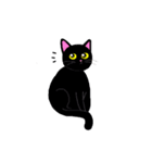 Baloo Black cat part 2（個別スタンプ：20）