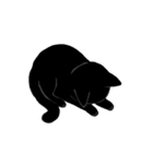 Baloo Black cat part 2（個別スタンプ：26）
