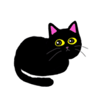 Baloo Black cat part 2（個別スタンプ：40）