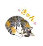 ねこのみるくちゃん（個別スタンプ：3）