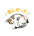 ねこのみるくちゃん（個別スタンプ：17）