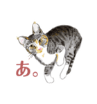 ねこのみるくちゃん（個別スタンプ：35）