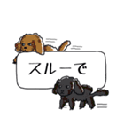 スコテの日記2 ふきだし（個別スタンプ：5）