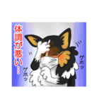 かわいい犬スタンプ 愛しのシェルティー（個別スタンプ：14）