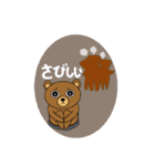 My popular kuma bear (Japanese)（個別スタンプ：20）