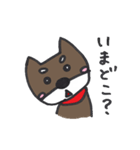 黒柴マロまろ その2（個別スタンプ：21）