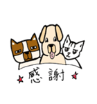 俺様犬と犬と猫（個別スタンプ：35）