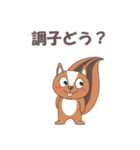 リスで会話（個別スタンプ：12）