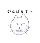 腹の立つ猫（個別スタンプ：22）